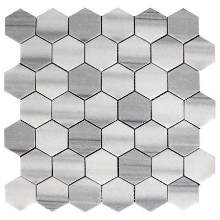 Apollo Tile Equator Hexagon 4.83 sq.ft 11.8 in. x11.8 in. Marble Mosaic Tile, 5PK APLMRM99G28EC88